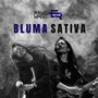 Bluma Sativa