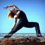 Experience The Indian Yoga Sounds, Vol. 08