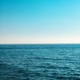 Shoreline Reverie