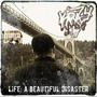 Life: A Beautiful Disaster (Explicit)