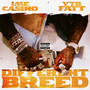 Different Breed (feat. YTB Fatt) [Explicit]