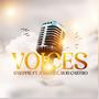 Voices (feat. Juss Lizz & Rob Castro)