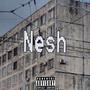 NESH