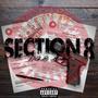 Section 8 (Explicit)