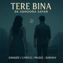 Tere Bin (Ek Adhoora Safar)