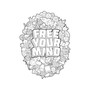 Free Your Mind