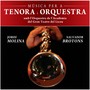 Tenora I Orquestra