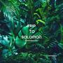 Trip To Solomon (feat. Kayo Alves & Camila Rosa) [Extended Mix]