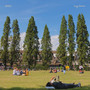 Lazy Summer
