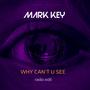 Why can't u see (Radio Edit)