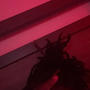 I wont tell a soul (Explicit)