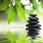 Feng Shui Zen Musik - Ruhige Noten und Traumhafte Meditationsmusik zur Entspannung, Harmonische Musik für Klangtherapie im Leben