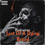 Last Of A Dying Breed (Explicit)