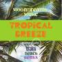 Tropical Breeze (Stoneygate Bali Beach Remix)