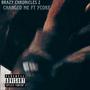 Brazy Chronicals 2 (Explicit)