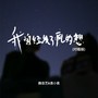 我曾经发了疯的想（对唱版）