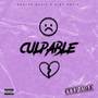 CULPABLE (Explicit)