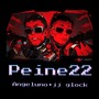 Peine 22