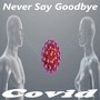 Never Say Goodbye