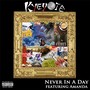 Never in a Day... (feat. Amanda) [Explicit]