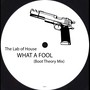 What A Fool (Boot Theory Mix)