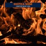 Exotica Shine - Campfire Music 2020