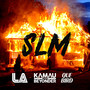 Slm