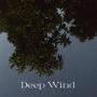 Deep Wind