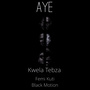 Aye [feat. Femi Kuti & Black Motion]
