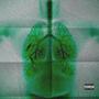 LUNGS (Explicit)