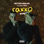 Caxxo in Chat (Explicit)