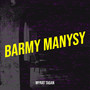 Barmy Manysy