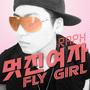 Fly Girl