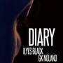 DIARY (feat. Gk Noland) [Explicit]