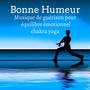 Bonne Humeur - Musique de guérison pour équilibre émotionnel chakra yoga avec sons new age instrumentaux