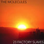 23 Factory Slaves