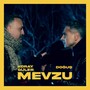 Mevzu