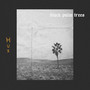 black palm trees (Explicit)