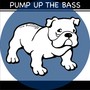 Pump Up the Bass (Minimal Mix)