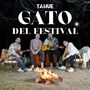 Gato Del Festival