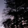 Not Everything (2020 Instrumental)