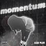 Momentum (Explicit)