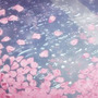 cherry blossom scatter