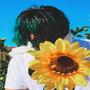 SunFlower (Explicit)