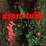 usoro tulip