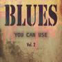 Blues You Can Use, Vol. 2