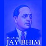 Jay Bhim (Remix)