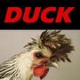 Duck (Explicit)