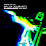 BAIXO DELIRANTE (BRX Remix)