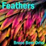 Feathers (Upbeat Synthwave with Bruce Beer Drive)